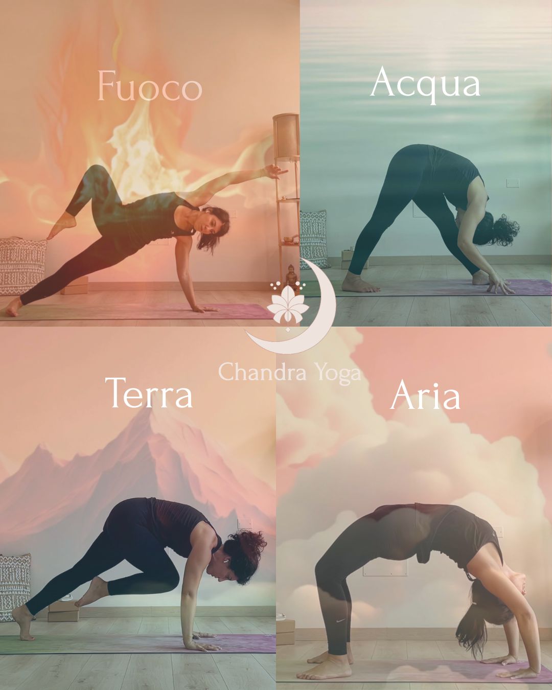 Novità (5)