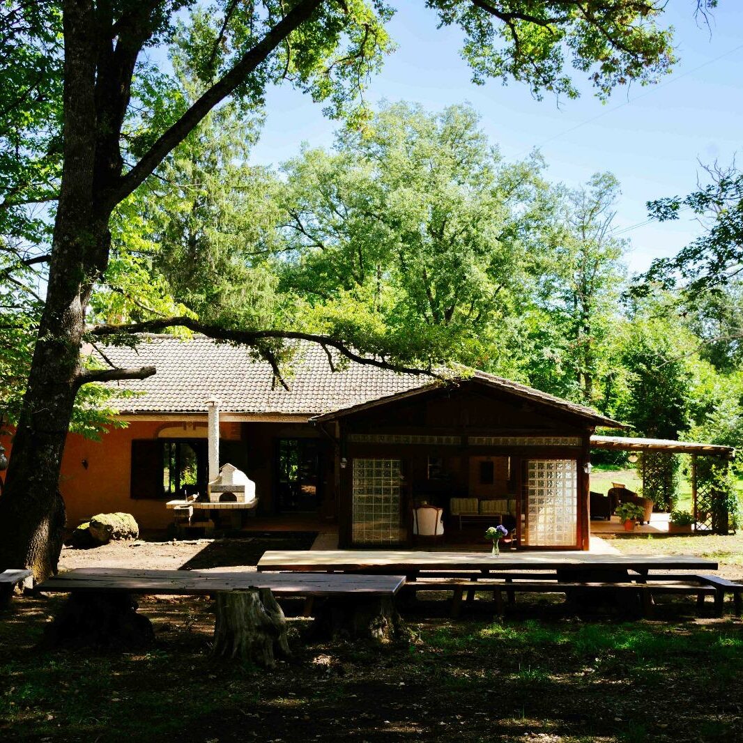 WhatsApp Image 2025-01-13 at 16.25.54 (3)